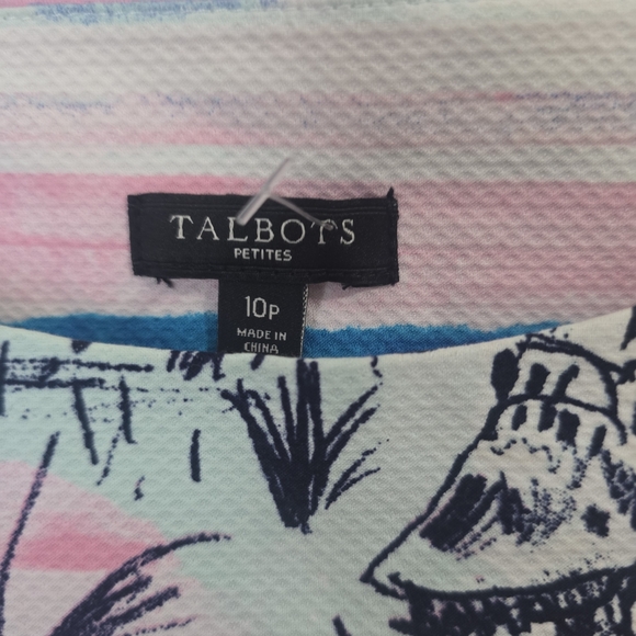 Talvot Petite Seaside Harbor Blue and Pink Striped Sleeveless Dress Size 10P - Picture 7 of 11